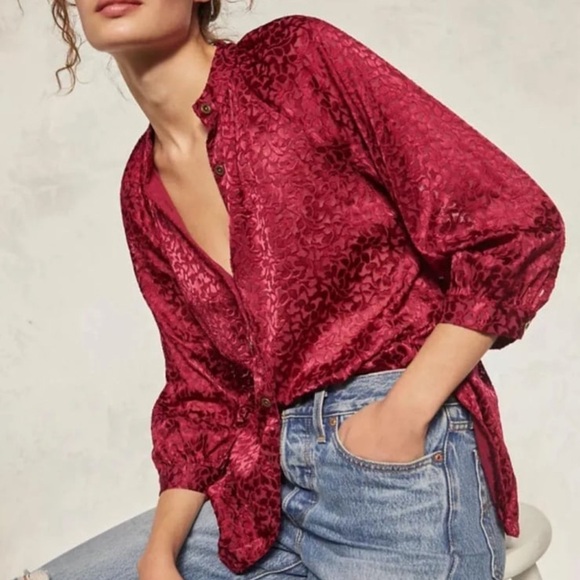 Anthropologie Susanna Burnout Velvet Button Down Blouse - Picture 4 of 12
